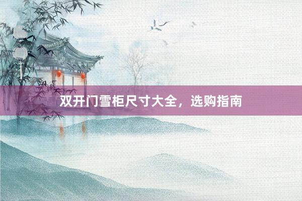 双开门雪柜尺寸大全，选购指南