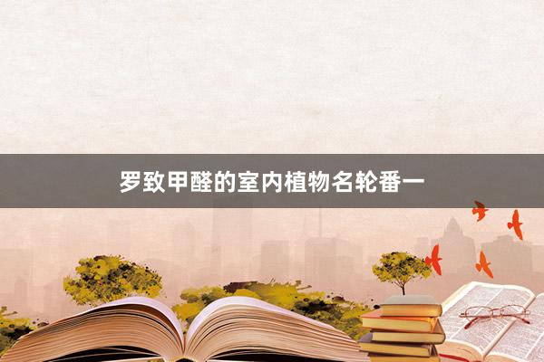 罗致甲醛的室内植物名轮番一